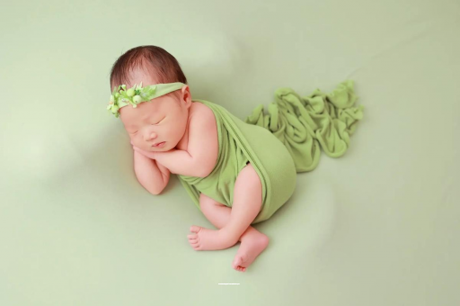 东海宝宝的奇思妙想 东海宝宝的奇思妙想